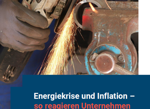 Studie "Energie und Inflation" Startseite